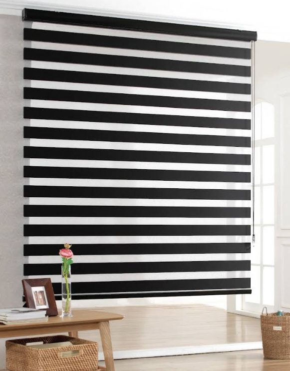 zebra Blinds